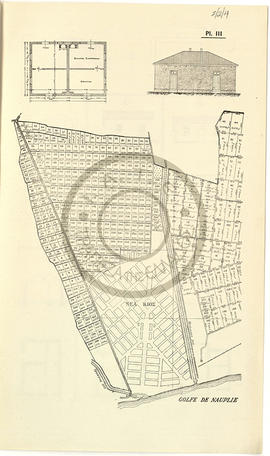 Τοπογραφικό σχέδιο του προσφυγικού οικισμού Νέας Κίου και αρχιτεκτονικά σχέδια τύπων αγροτικών οι...
